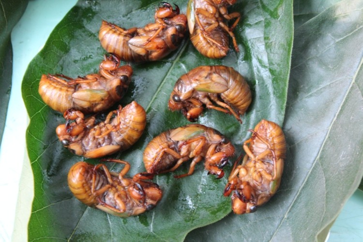 绿源山水一日游,绿源山水有什么好玩的