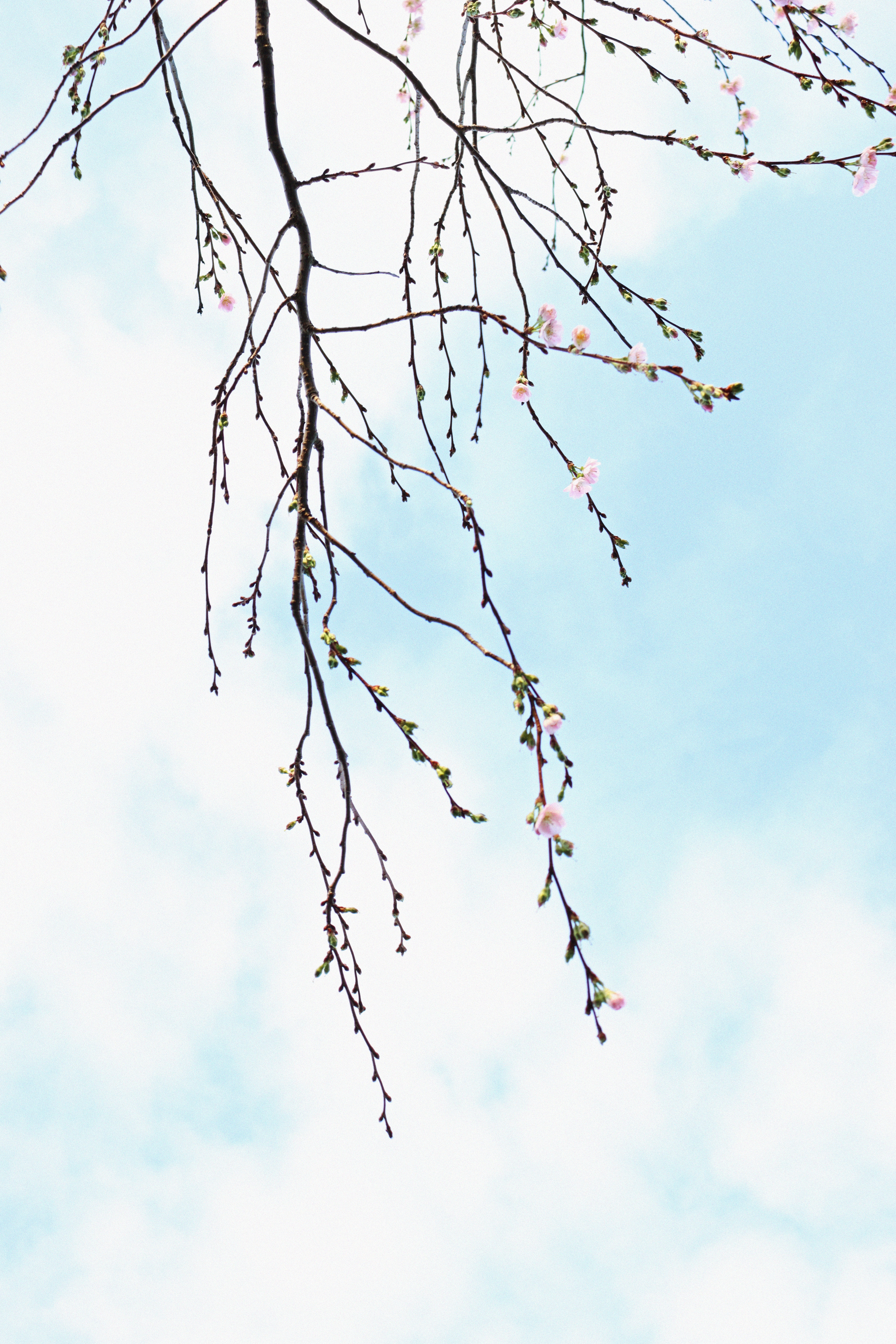 微信客户拖欠货款怎么处理,客户拖欠货款今天给明天给怎么催