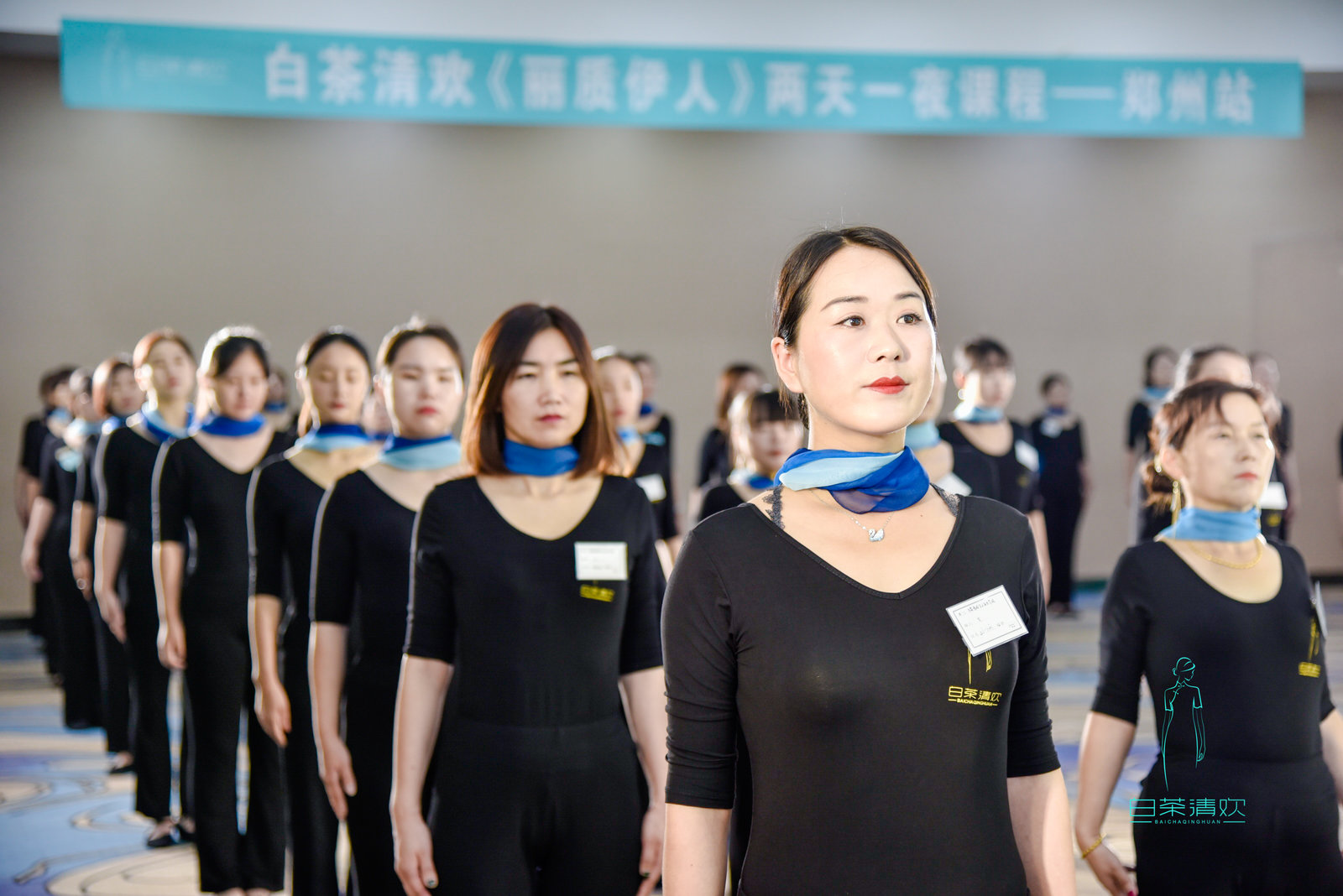 白茶清欢和青梅绿茶,白茶清欢圆满