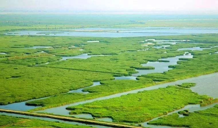 这就是渭南的网红圣地,这就是陕西