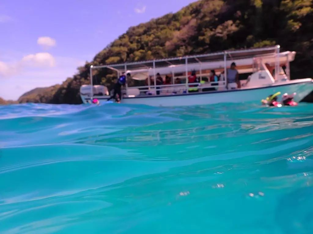 帕劳归来不看海谁说的,帕劳归来不看海