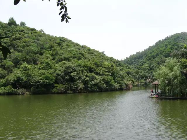 深圳遛娃必去景点免费过年,深圳适合儿童游玩的公园