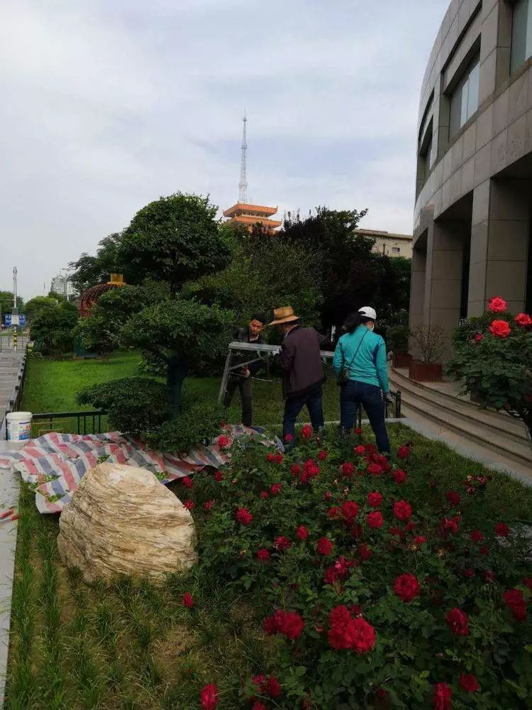 战高温斗酷暑坚守一线工地,战高温斗酷暑坚守一线照片