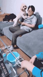 搞笑动图gif女司机,搞笑动图gif图片哪里下载