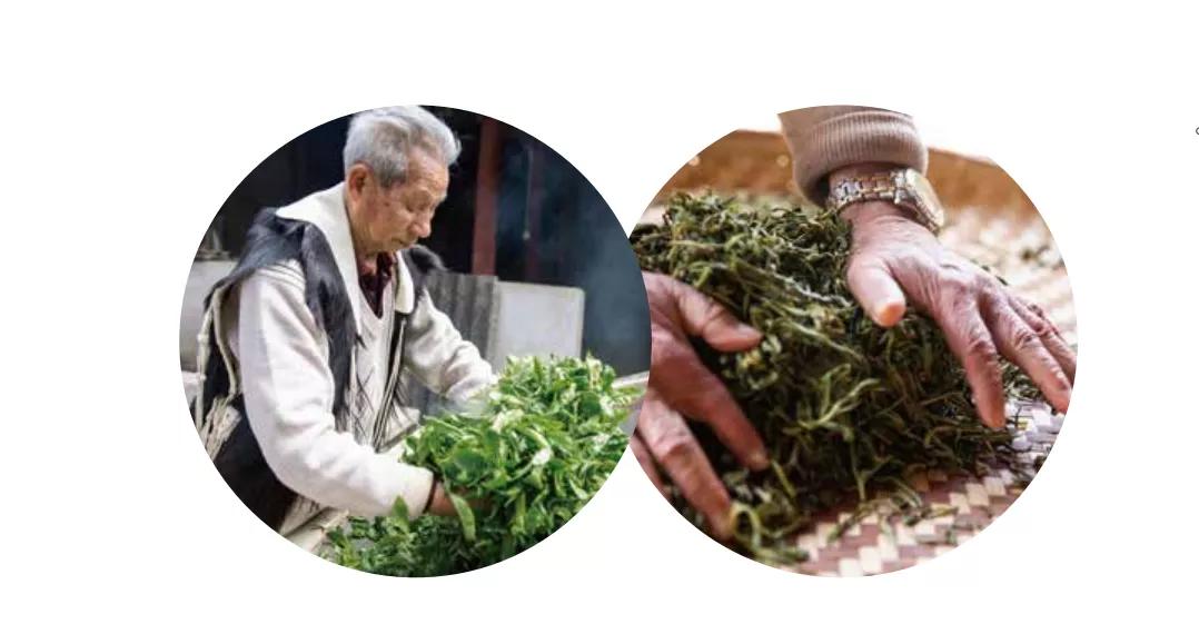 清华大学担负起定点帮扶：大理南涧县土林凤凰茶品味