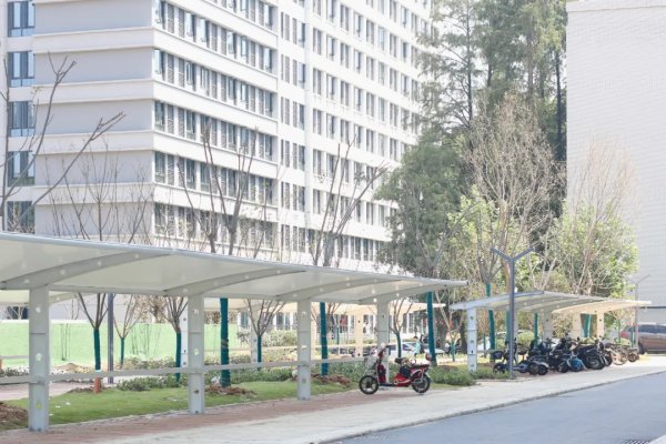 武大毕业宿舍,武大樱花宿舍楼