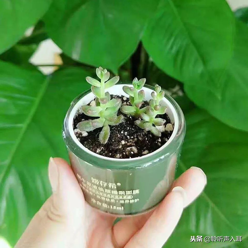 保护护肤品,保护护肤