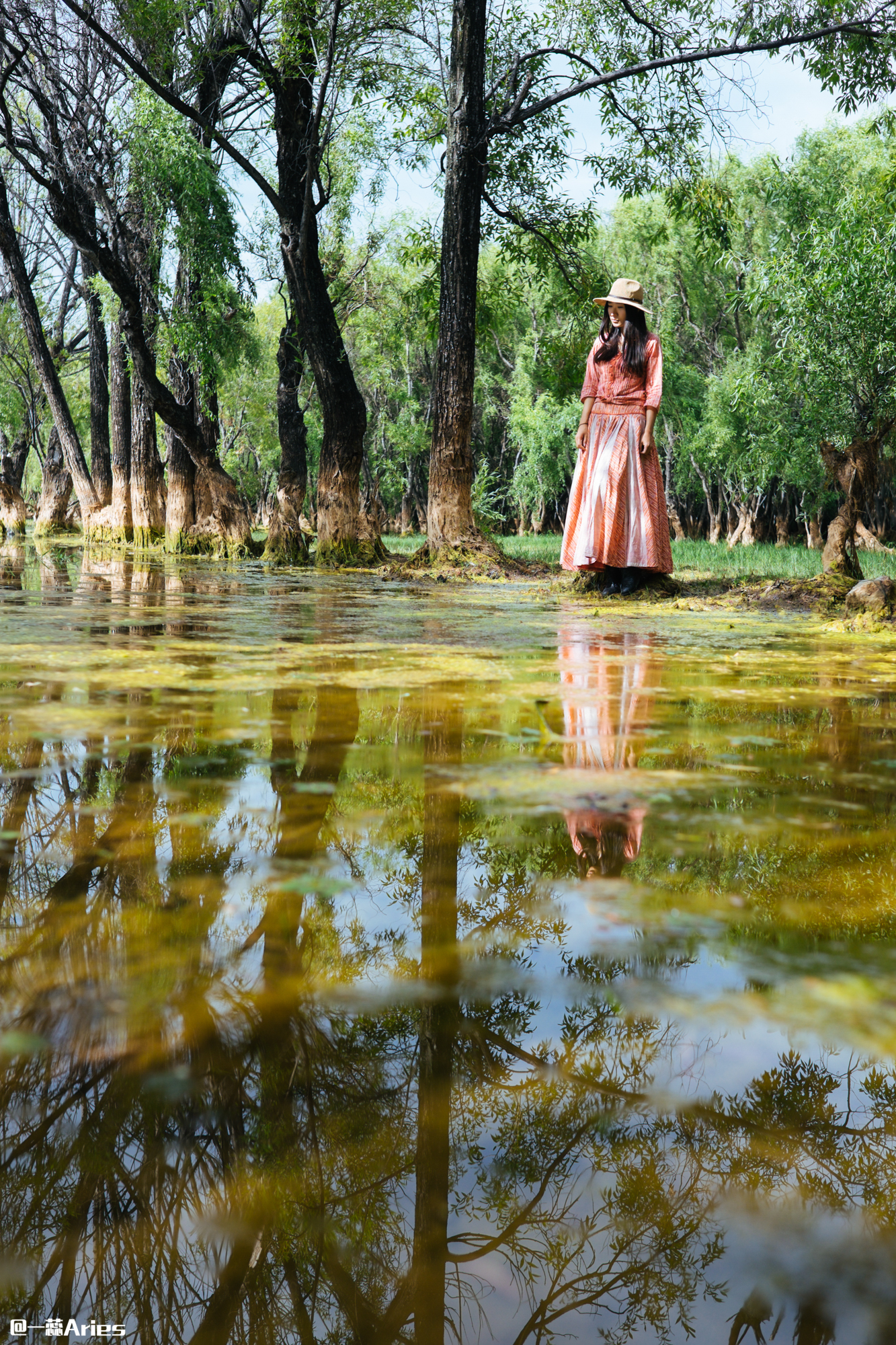 大理环洱海自驾游最佳攻略,大理环海岸线自驾游