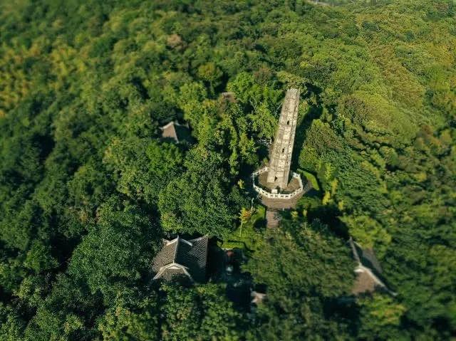 佘山国家森林公园五一,佘山国家森林公园在哪里预约入园