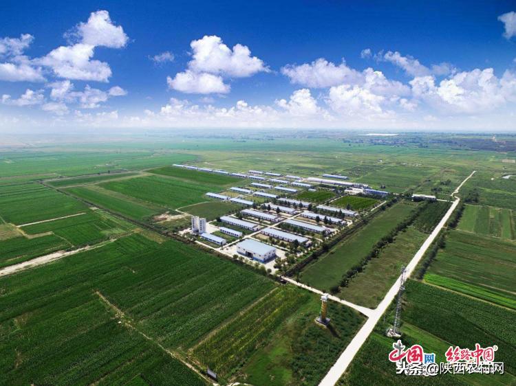 陕西圣唐羊乳有限公司是真公司吗,陕西圣唐乳业排行