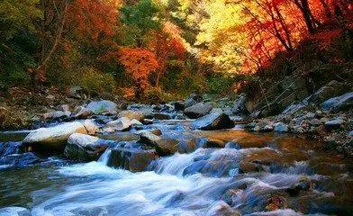 夏天避暑最佳旅游地辽宁,辽宁阜新夏季能避暑吗