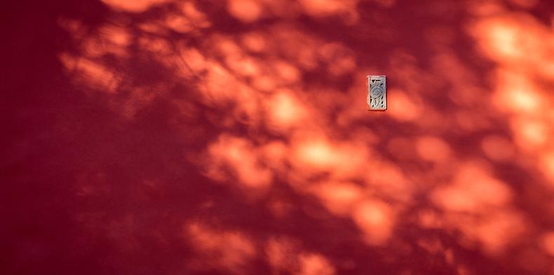 令人惊叹的东方美,迷倒众生的美貌