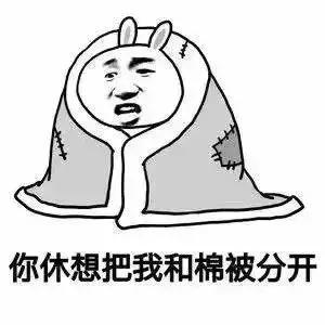 初雪终于来了原版,初雪终于在新年到来前