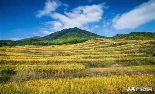 广东粤北最美公路,粤北最美的国道是哪条线