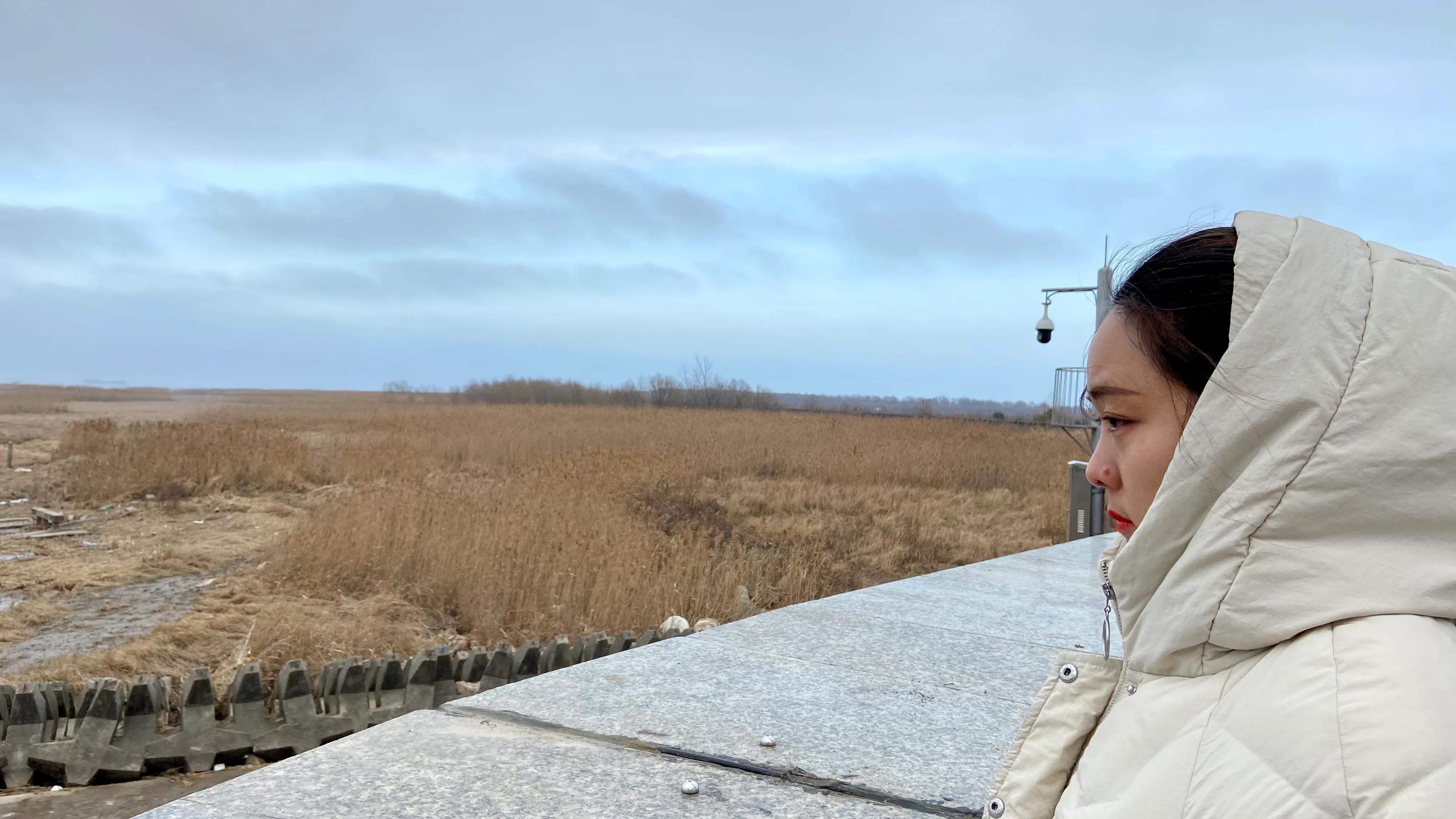 上海看美丽的大海,上海哪里有海滩看大海免费