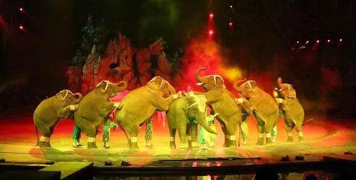 凯美瑞成都旅游攻略,凯美瑞旅行版自驾游攻略