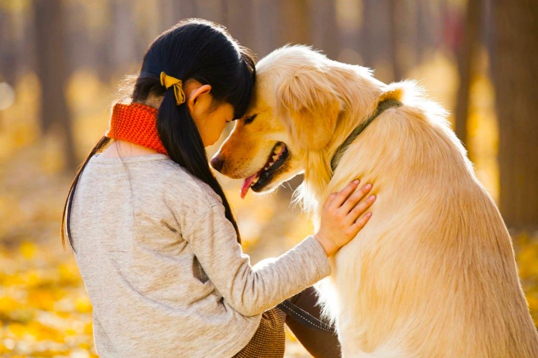 为什么人类是世界上最奇特的生物,细菌的演化过程