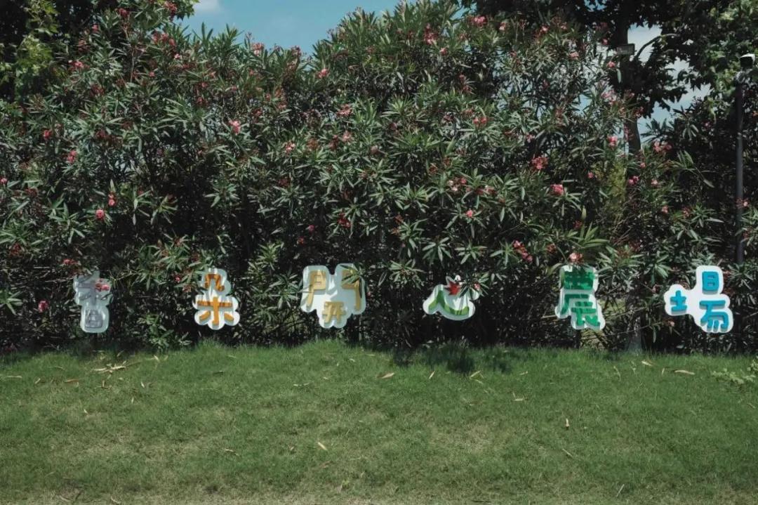 农村新型果园6亩赚钱方式,果园农场怎么赚钱