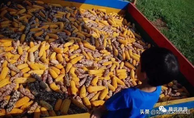 亲子农乐园投资,亲子农乐园经营模式