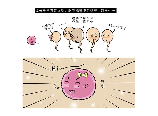 为什么两个人身体健康，性功能正常，却不育呢？