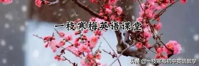 初中英语词汇1600分类版,初中英语词汇记忆大全