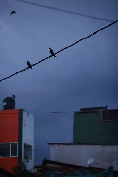 假期撒手没的戏精同事们,竟然在我挤春运的时候吹海风??(下)