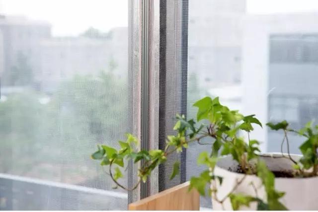 去宜家什么都想买,去宜家什么值得买