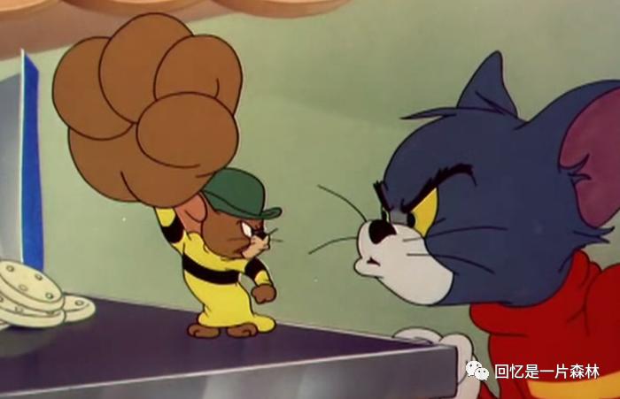 我家养了两只天竺鼠，同事却要把家里的猫送给我