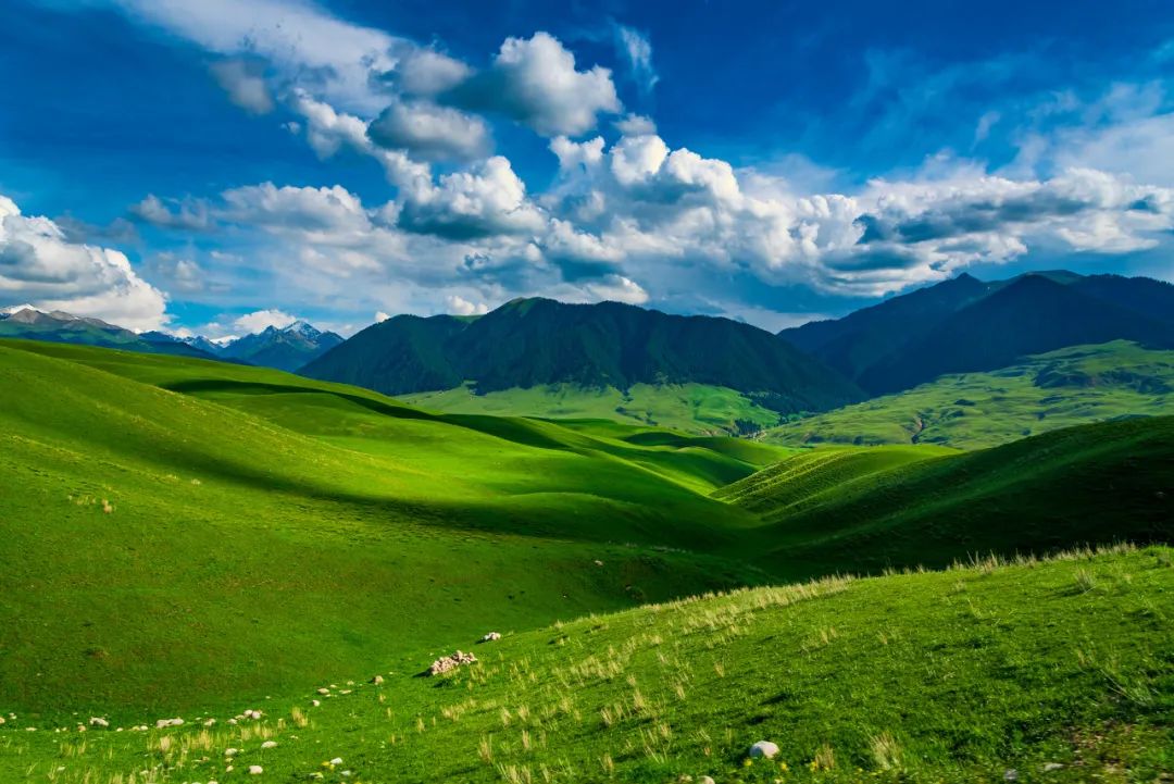 hm耐克阿迪,hm耐克优衣库阿迪达斯