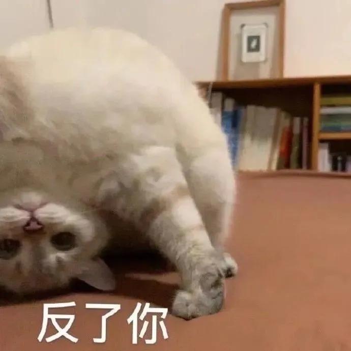 整容秃头还出轨？“发发爱我2021”拿着视频来锤华晨宇了