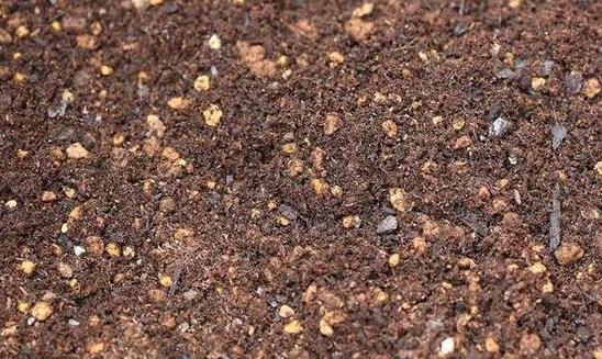 养花的土怎么才能改善酸性土壤,想要土壤疏松透气加什么