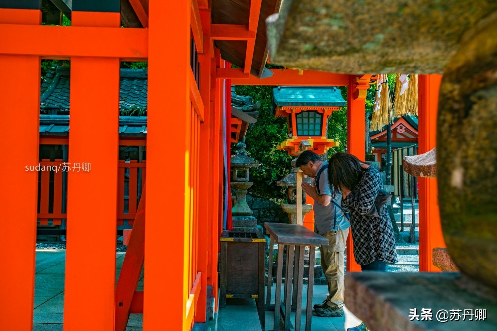 京都伏见稻荷神社可以爬一半吗,京都之旅