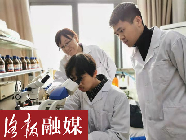 洛阳一大学老师化身“科技特派员”，为核桃树治“癌”助农增收10余万元