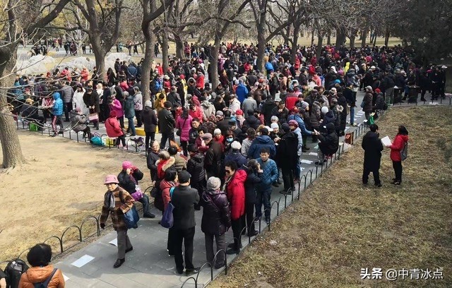 北京中产女孩与河南农村博士的爱情故事，买房生娃都遭遇重压，亲友网友齐劝分