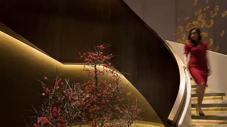 英伦酒店设计大师,顶级奢华酒店室内设计