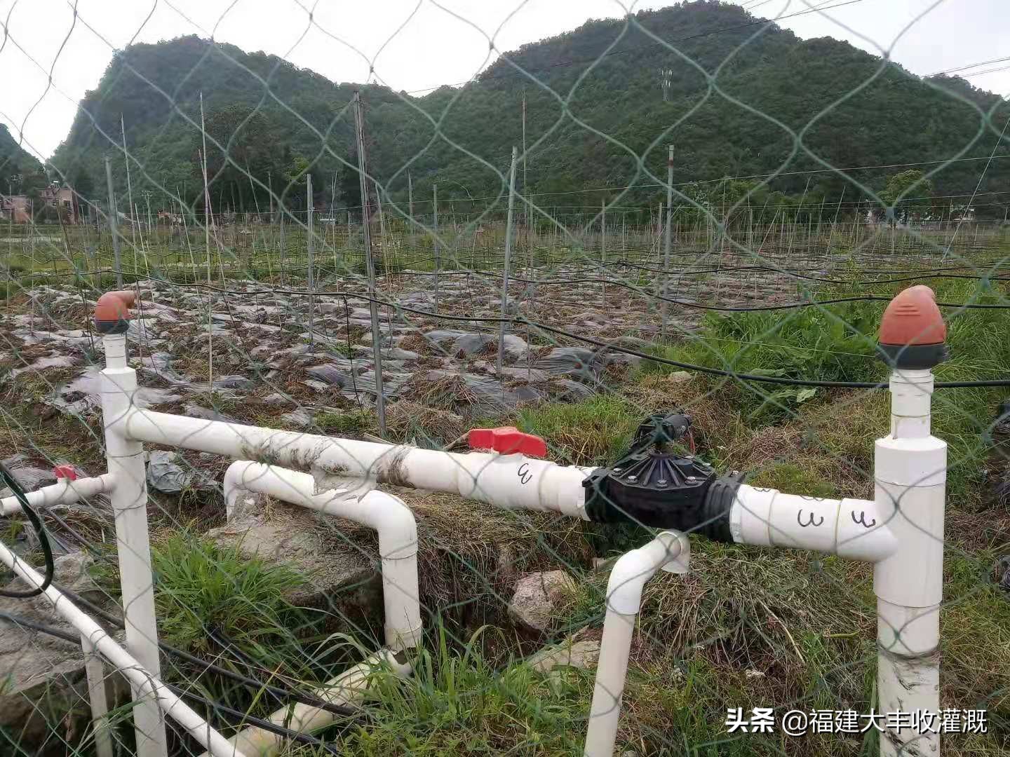 水肥一体机工作原理视频,水肥一体机施工步骤