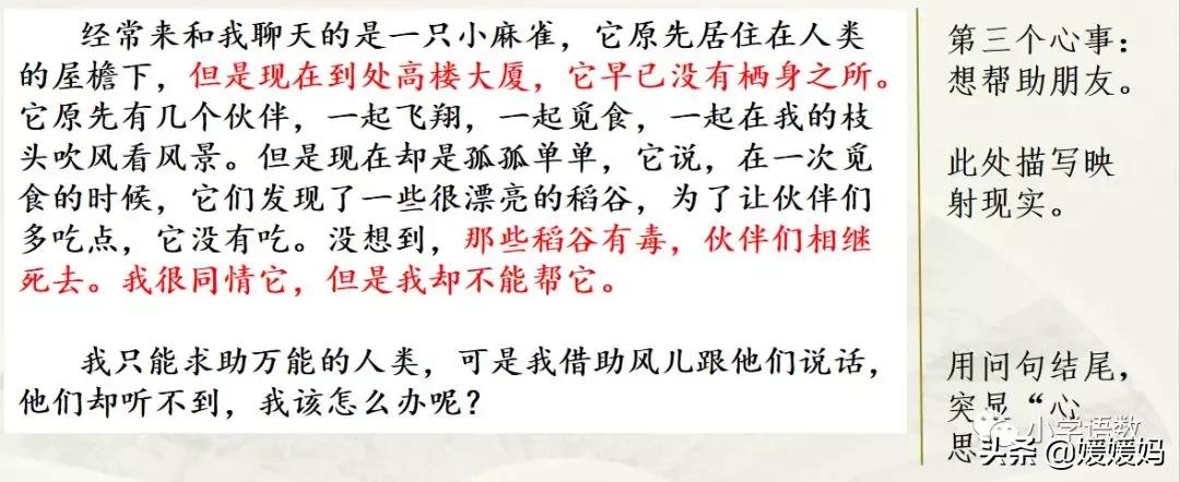 奇妙的想象三年级作文300字小土豆,三下五单元作文奇妙的想象范文