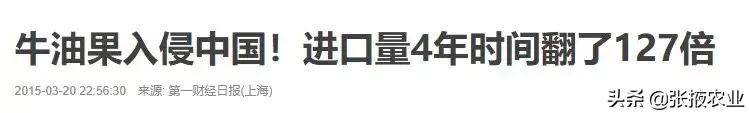 牛油果的健康骗局,牛油果是个骗局么