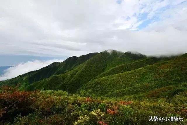 惠州候鸟二手别墅价格,惠州全球候鸟度假别墅预订