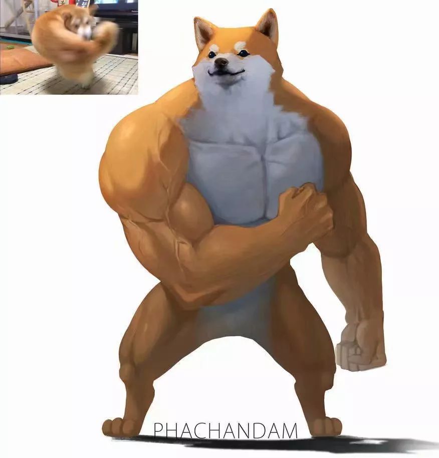 *兽禽**们搞起比利来有多“骚”？