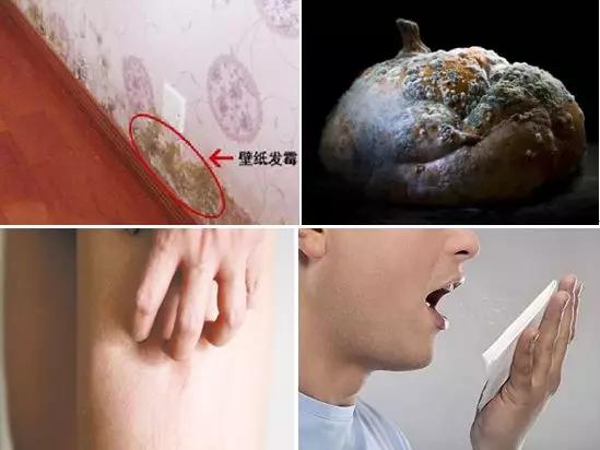 回南天墙壁流汗了怎么办,回南天家里墙壁都是水珠怎么办