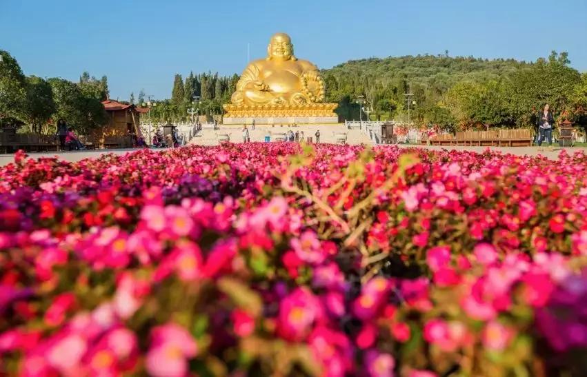 冬季视觉治愈系列！治好你的“冬天不想出门症”~