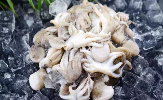 汕尾人吃海鲜,原来海边人是这样吃海螺的