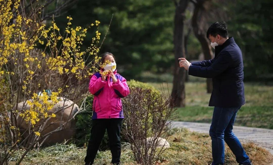 天津春暖花开西沽公园,天津开放的湿地生态公园
