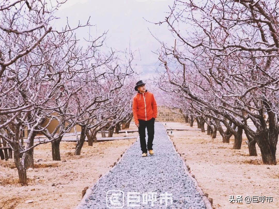 古人赞叹的美景,呼和浩特古代风景