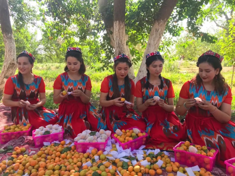 双11各大品牌各大电商有什么亮点,双11走进第13年阿里的价值如何看