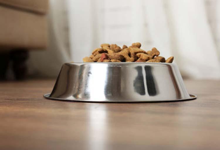 狗粮哪个牌子质量好性价比高,国产狗粮哪种便宜又性价比高