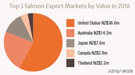 引入活青口贝、鲜帝王鲑，新西兰海产出口商的新生力量！