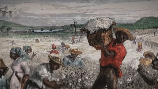 黑奴采棉花历史原视频,黑奴采棉花历史叫什么