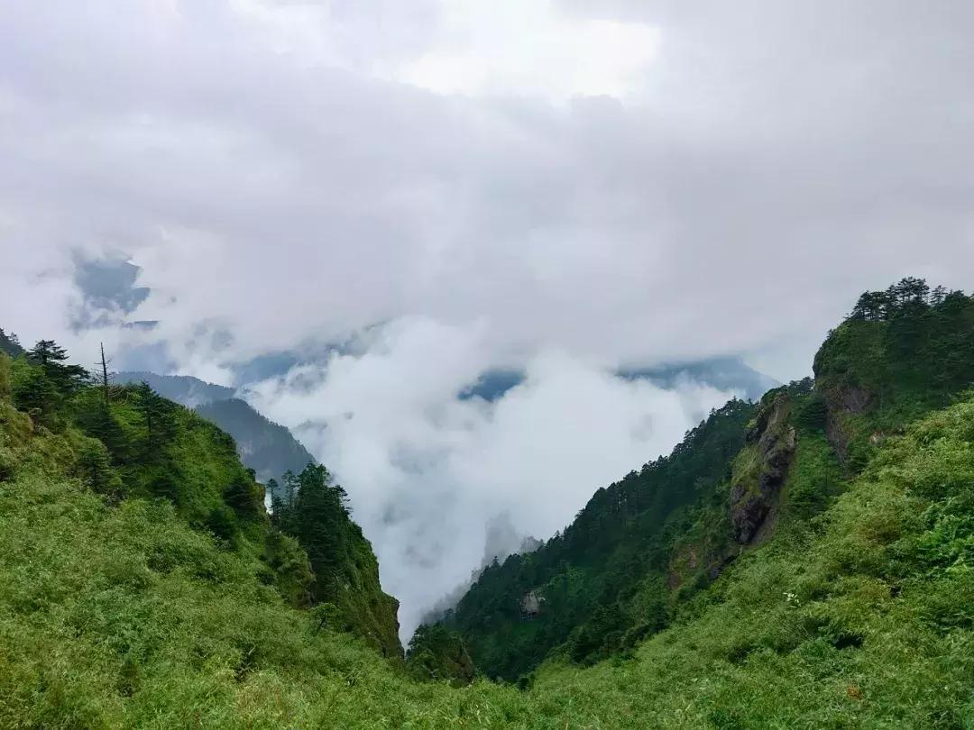 神农架攻略书,重庆出发神农架三日自驾游攻略